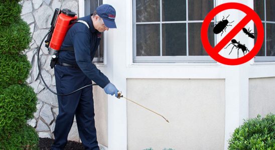 Nurdağı Sivrisinek İlaçlama böcek ilaçlama ve haşere kontrolü — ilaclama-tr.com